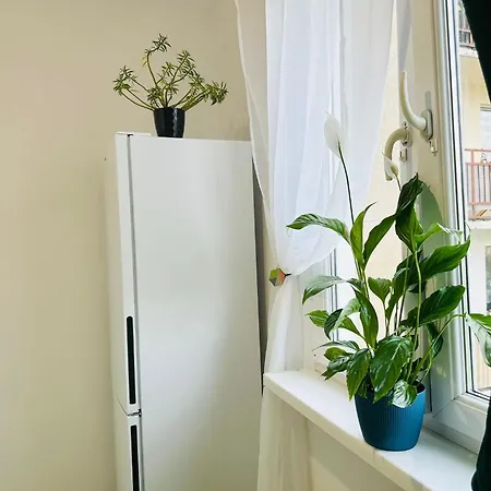 Perla Doliny Ksiaza * Świebodzice