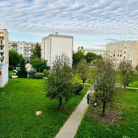 Perla Doliny Ksiaza * Świebodzice